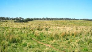 Mayfield Country Estate Braidwood