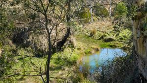 Mayfield Country Estate Braidwood