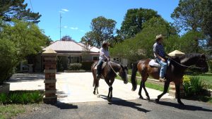 Mayfield Country Estate - The Mayfield Homestead