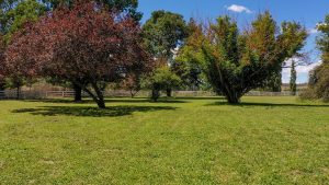 Mayfield Country Estate - The Mayfield Homestead