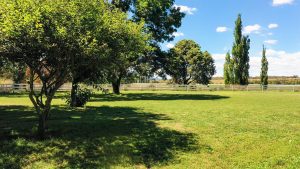 Mayfield Country Estate - The Mayfield Homestead