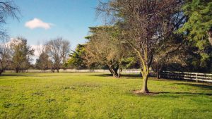 Mayfield Country Estate - The Mayfield Homestead