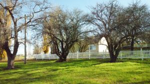 Mayfield Country Estate - The Mayfield Homestead