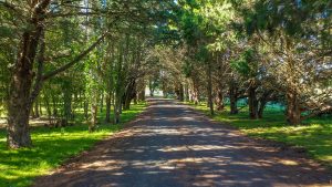 Mayfield Country Estate - The Mayfield Homestead