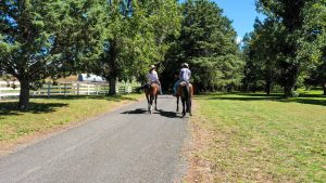 Mayfield Country Estate - The Mayfield Homestead