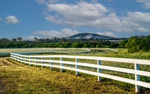 Mayfield Country Estate - The Mayfield Homestead