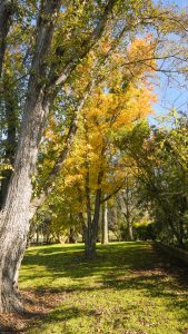 Mayfield Country Estate - The Mayfield Homestead