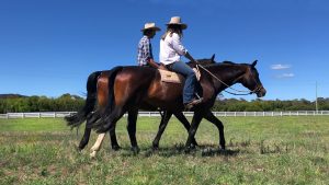 Explore the natural wonders of Mayfield on horseback