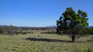 Mayfield Country Estate Braidwood