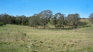 Mayfield Country Estate Braidwood