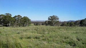 Mayfield Country Estate Braidwood