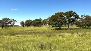 Mayfield Country Estate Braidwood