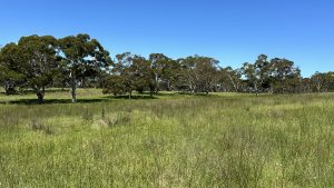 Mayfield Country Estate Braidwood