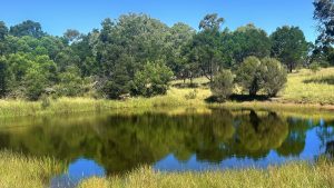 Mayfield Country Estate Braidwood