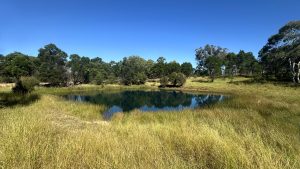 Mayfield Country Estate Braidwood